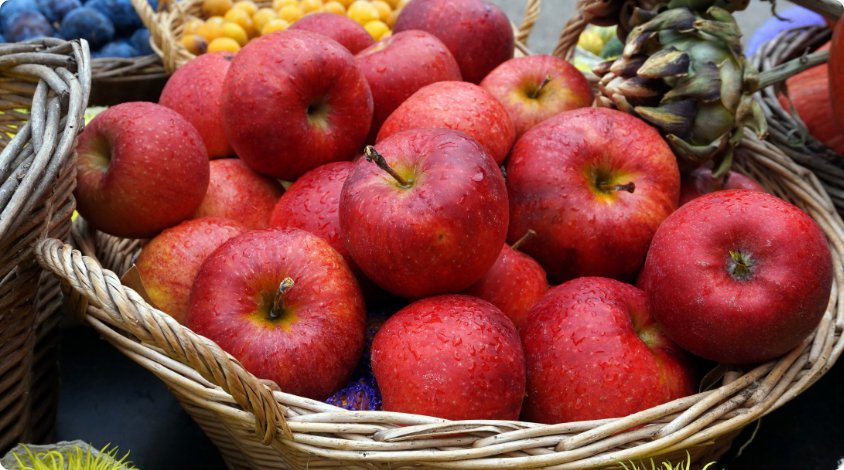 maca-blog